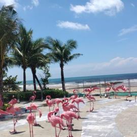 Longs Beach House Hồ Tràm - Beachfront Sea View Villa, hotel in Ho Tram
