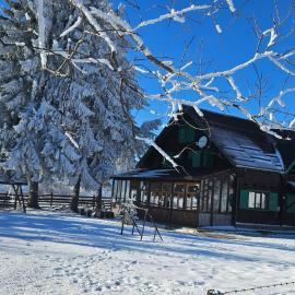 Cabana ciocanu, hotel in Şirnea