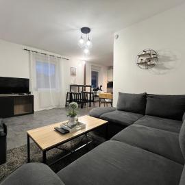 Spacieux appartement à Belfort, hotel in Belfort