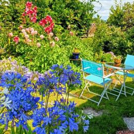 B&B on Bealey- Floralie