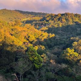 Campana Lodge n' Trails