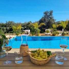 Cosy Guest House - Villa das Alfarrobas