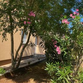 Apartments Katja, hôtel à Štinjan