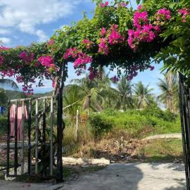 Pepper In Nha Trang Homestay, hotel in Nha Trang