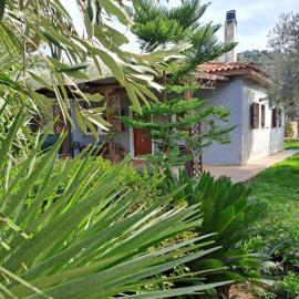 Bill's Garden Villa