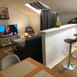 Appart Hotel Le Victor Hugo Art Mechanical et sa pizza offerte, hotelli kohteessa Aurillac
