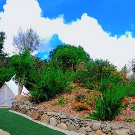 Fairy Cove at Rosemount Glamping โรงแรมในคาร์ลิงฟอร์ด