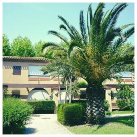 Appartement Piscine privée, hotel in Saint-Cyprien-Plage
