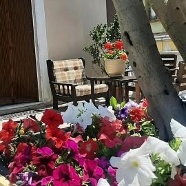 Holiday House NELLINA