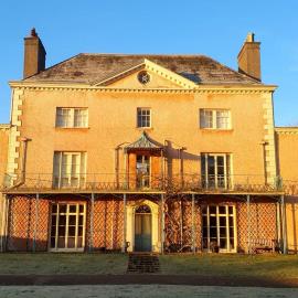 Little Plas