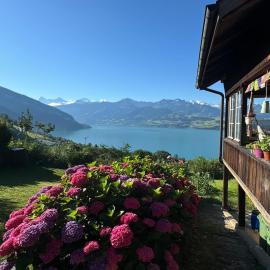 Unverbaute See- und Bergsicht Wohnung 2 Balkone, hotel em Aeschlen