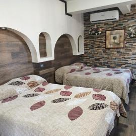 HOTEL BAEZA, hotel din Delicias