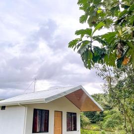 Cabana Castaña