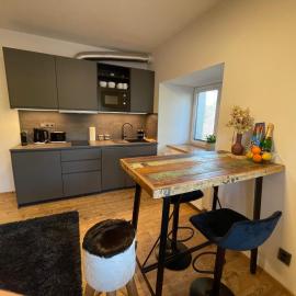 Apartment NAVI- Modern studio in Krkonoše foothills, hotel i Staré Buky