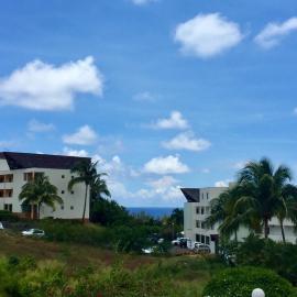 Boucan vue mer et manguiers