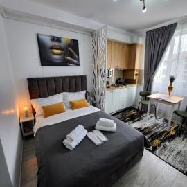 Studio Helen, hotel a Onești