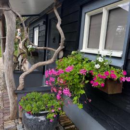 Bij Boom