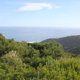 WILDERNESS SEASIDE ESCAPE