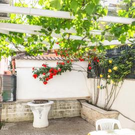 La Pergola in Fiore