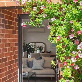 Reed Cottage - in the heart of Sydney