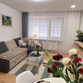 Šiauliai Central Vytauto Apartment