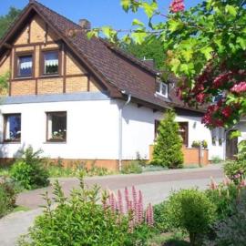 Fewo im Herzen der Insel