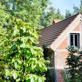 Refugium im Wald