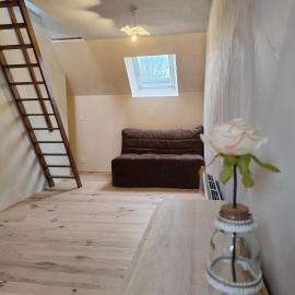 Studio avec mezzanine
