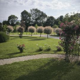 Apartma in wellness Čista fantazija