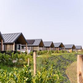 Berg Lodge, מלון בוולקנבורג