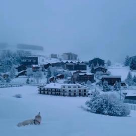 Studio lumineux avec vue et accès sur les pistes ! Coup de coeur, hotel en Valberg