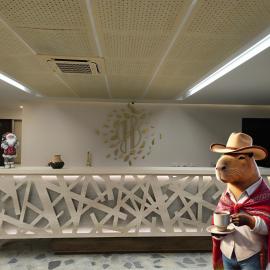 Hill Gate – hotel w mieście Yopal