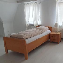 Zentrales, charmantes Zimmer an der Universitätsklinik Mainz, hotel in Mainz