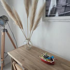 Tigre Studio Apartment, hotel en Tigre