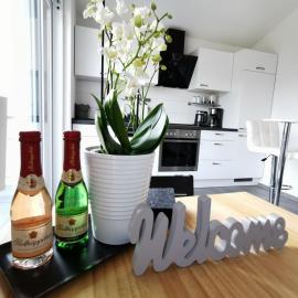 BodenSEE Apartment Meckenbeuren Ludwig Richter Strasse
