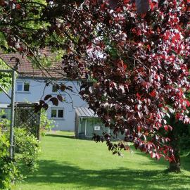 Ferienhaus MaLu, hotell i Nonnweiler