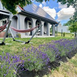 Völgyhíd Village Balaton, hotel in Kőröshegy