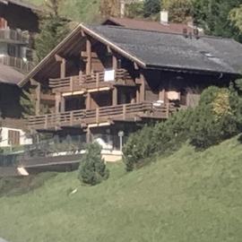 Chalet Orchis, hotell sihtkohas Hasliberg Wasserwendi