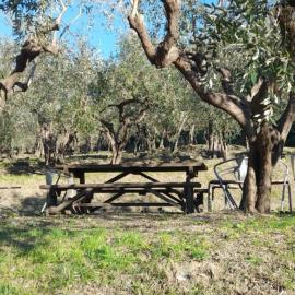 Agriturismo Cele, хотел в Челе Лигуре
