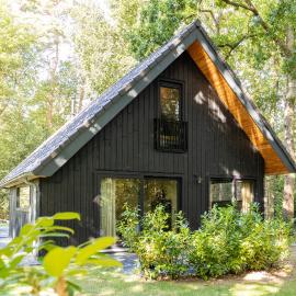 Boshuis midden in het bos met houtkachel in Appelscha、アッペルスカのホテル