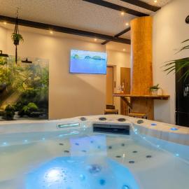 Tropical Wellness Suite I Sauna I Whirlpool I Hot Tub I TV I BBQ, מלון בBüdesheim