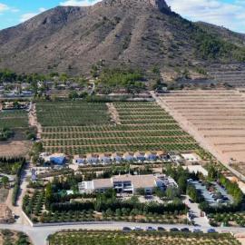 Bellevall resort, hotel y apartamentos，Aspe的飯店