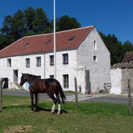 Ground floor apartment in farmhouse
