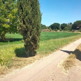 Tenuta Vallenoci, hotel i Cura