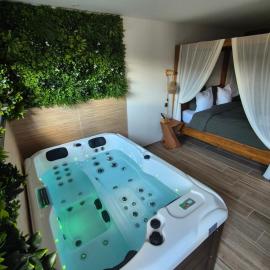 Le Cocoon - Jacuzzi, Sauna et Piscine privée, hotel in Carpentras