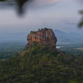 Elephant Trio Sigiriya
