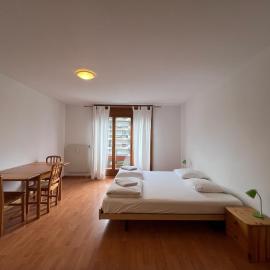 Studio 2 personnes avec Parking, hotel in Vionnaz