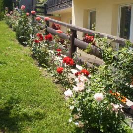Apartments Vila Velickovic