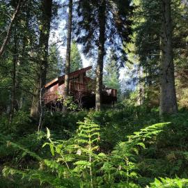 Glentress Forest Cabins - Forest Holidays, hotelli kohteessa Peebles