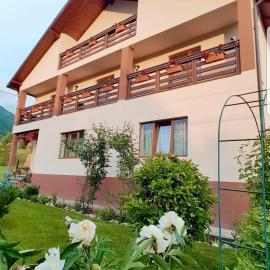 Casa Raul Borșa, מלון בBorsa